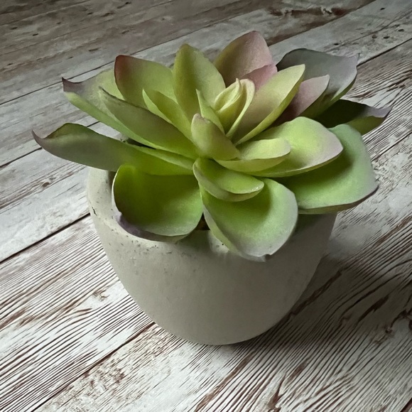 โ๐ผ๐ World Market Faux Succulent Mini Plants - Picture 4 of 14